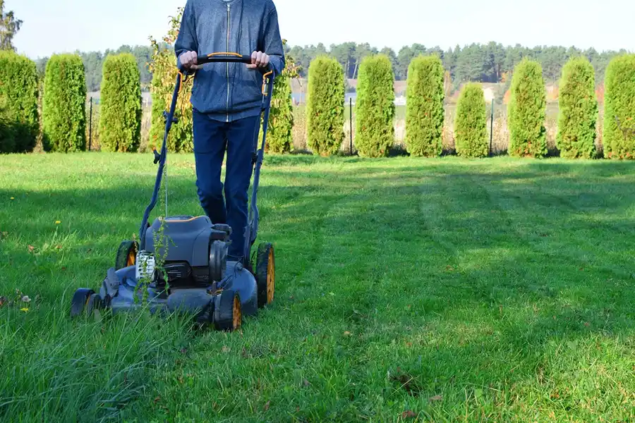 Efficient Lawn Mowing in Pompano Beach, FL