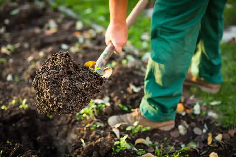 Reliable Mulching in Pompano Beach, FL