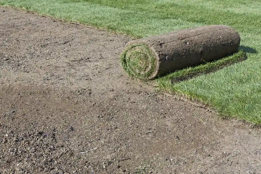 Efficient Sod Installation in Pompano Beach, FL