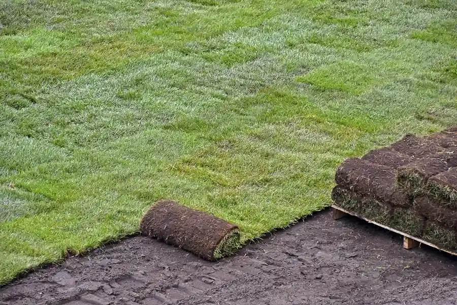 Best Sod Installation in Pompano Beach, FL