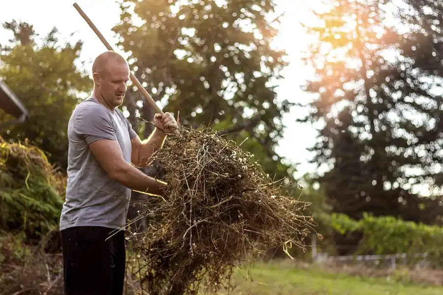 Yard Clean-Up