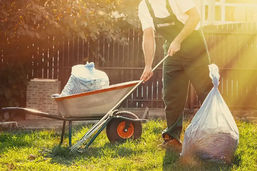 Best Yard cleanup in Pompano Beach, FL